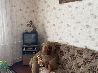 Продаю кирпичный дом есть электричество подключена канализация фото 22 Ростов-на-Дону