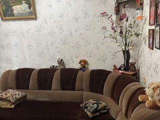 Продаю кирпичный дом есть электричество подключена канализация фото 23 Ростов-на-Дону