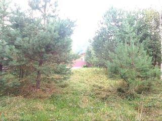 Продам земельный участок документы готовы фото 7 Горно-Алтайск