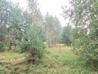 Продам земельный участок документы готовы фото 8 Горно-Алтайск