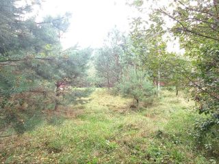 Продам земельный участок документы готовы фото 9 Горно-Алтайск