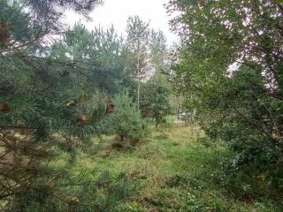 Продам земельный участок документы готовы фото 10 Горно-Алтайск