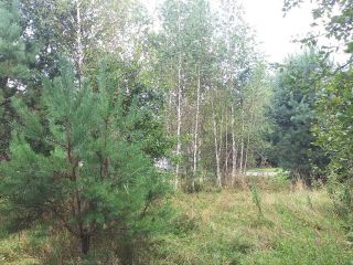 Продам земельный участок документы готовы фото 11 Горно-Алтайск