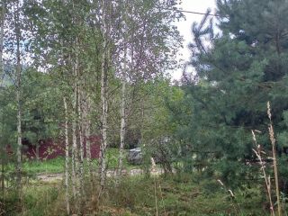 Продам земельный участок документы готовы фото 13 Горно-Алтайск