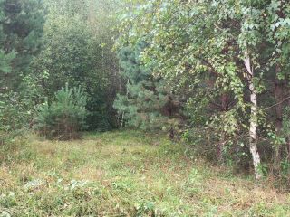 Продам земельный участок документы готовы фото 17 Горно-Алтайск