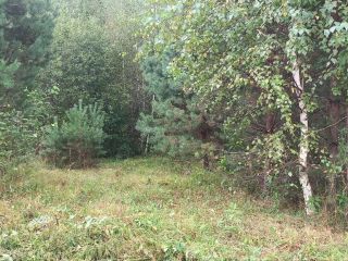 Продам земельный участок документы готовы фото 20 Горно-Алтайск