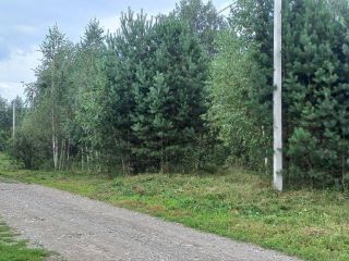 Продам земельный участок документы готовы фото 21 Горно-Алтайск