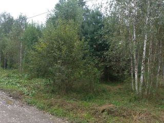 Продам земельный участок документы готовы фото 22 Горно-Алтайск