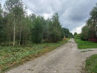 Продам земельный участок документы готовы фото 23 Горно-Алтайск