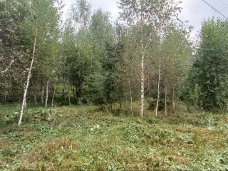 Продам земельный участок документы готовы фото 24 Горно-Алтайск