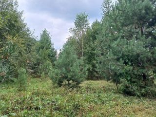 Продам земельный участок документы готовы фото 25 Горно-Алтайск