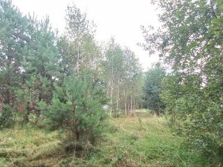 Продам земельный участок документы готовы фото 26 Горно-Алтайск