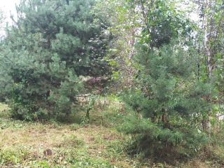 Продам земельный участок документы готовы фото 30 Горно-Алтайск