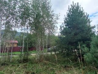 Продам земельный участок документы готовы фото 31 Горно-Алтайск