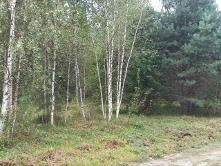 Продам земельный участок документы готовы фото 36 Горно-Алтайск