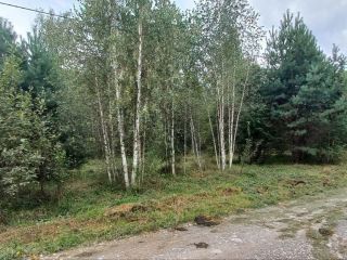 Продам земельный участок документы готовы фото 38 Горно-Алтайск