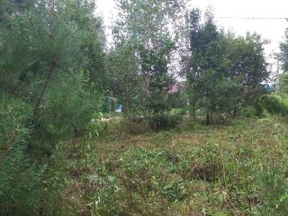 Продам земельный участок документы готовы фото 39 Горно-Алтайск