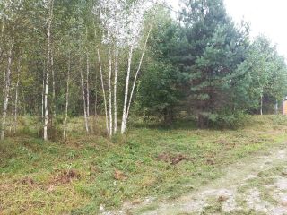 Продам земельный участок документы готовы фото 40 Горно-Алтайск