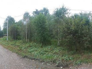 Продам земельный участок документы готовы фото 44 Горно-Алтайск