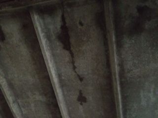 Продается нежилое помещение с коммуникациями фото 7 Лодейное Поле