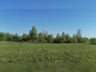 Продаю участок земли фото 2 Сергиев Посад