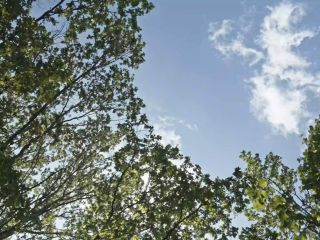 Продам помещение свободного назначения фото Москва