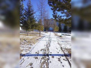 Продается нежилое помещение фото 3 Чита