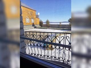 Продается нежилое помещение фото 6 Чита