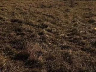 Продается зем участок под индивидуальное жилищное строительство с коммуникациями фото 3 Краснодар