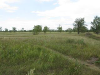 Продам зем участок подключена канализация есть электричество фото 2 Тольятти