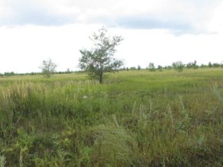 Продам зем участок подключена канализация есть электричество фото 3 Тольятти