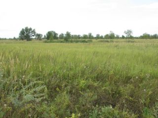 Продается участок земли подключена канализация есть электричество фото 2 Тольятти