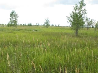 Продается участок земли подключена канализация есть электричество фото 5 Тольятти