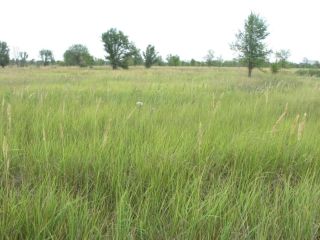 Продается участок земли подключена канализация есть электричество фото 6 Тольятти