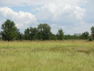 Продается участок земли подключена канализация есть электричество фото 10 Тольятти