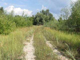 Продам земельный участок фото 4 Жигулёвск