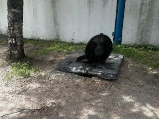 Продаю нежилое помещение фото 16 Сургут