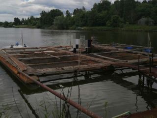 Продаю помещение свободного назначения фото 21 Ижевск