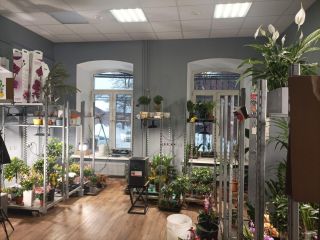 Сдам офис красивая фото 2 Москва