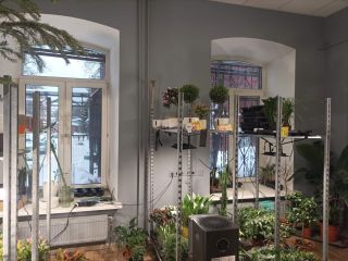 Сдам офис красивая фото 4 Москва