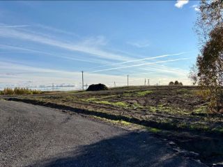 Продаю земельный участок рассрочка асфальтная дорога фото 3 Всеволожск