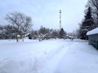 Продаю деревянный дом с плодоносящим садом есть баня фото 11 Талдом