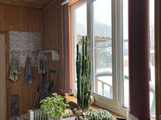 Продаю деревянный дом с плодоносящим садом есть баня фото 31 Талдом