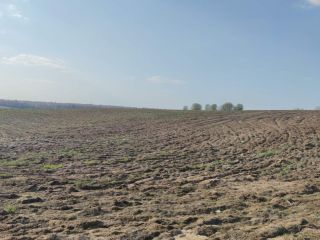 Продам зем участок асфальтная дорога фото 4 Сергиев Посад