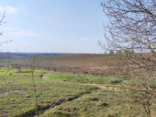 Продам зем участок асфальтная дорога фото 7 Сергиев Посад