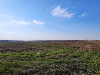 Продается зем участок асфальтная дорога фото 7 Сергиев Посад