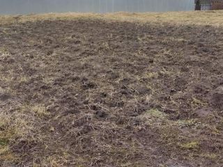 Продам земельный участок документы на руках фото 2 Дмитров