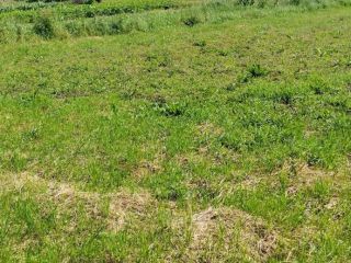 Продам земельный участок документы на руках фото 5 Дмитров