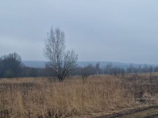 Продам зем участок есть электричество фото 10 Щёкино