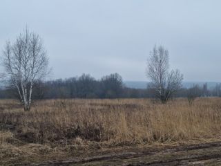 Продам зем участок есть электричество фото 11 Щёкино